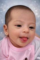 Bebés